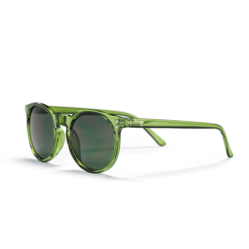 Anchor Point Sunglasses FOREST GREEN