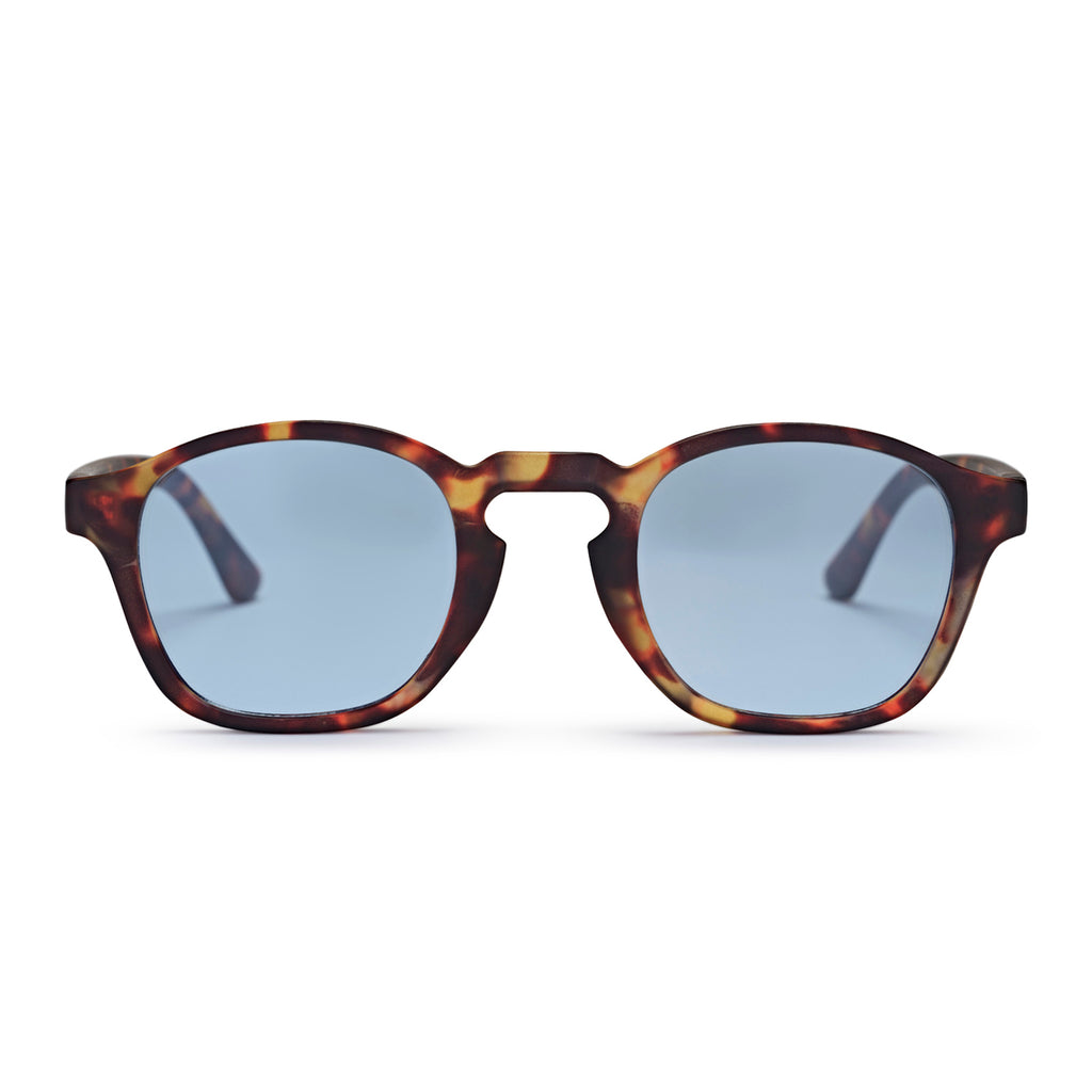 Gee Sunglasses TURTLE BROWN